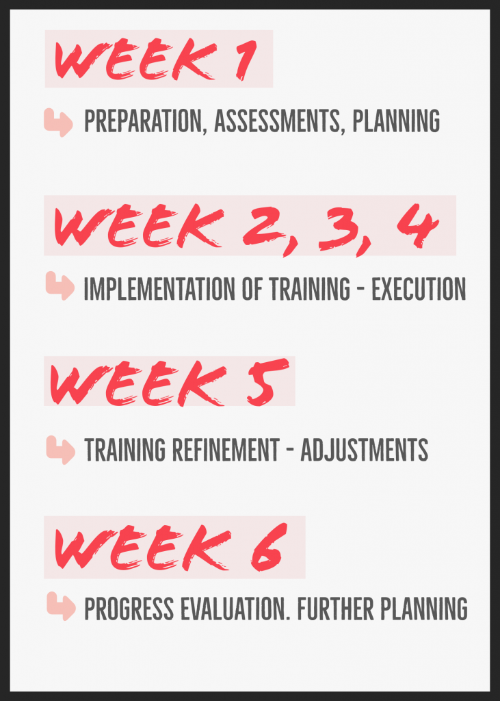 The 6 Week Plan | TFA (Training for Acro)